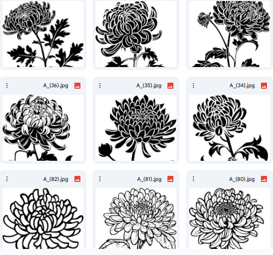 Chrysanthemum Flower Vector Drawings – 15 Creative Coloring Designs
