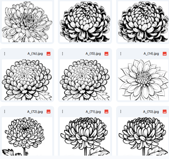 Detailed Chrysanthemum Vector Drawings – 15 Designs for Coloring & Crafts