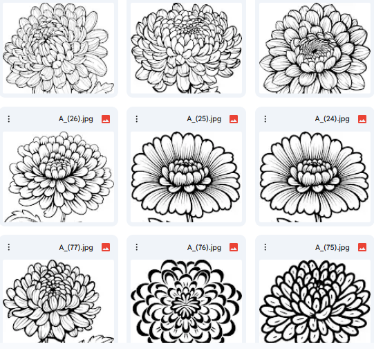 Chrysanthemum Detailed Vector Designs – 15 Coloring Illustrations
