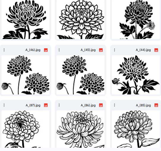Inspiring Chrysanthemum Flower Vector Designs – 15 Illustrations for Coloring