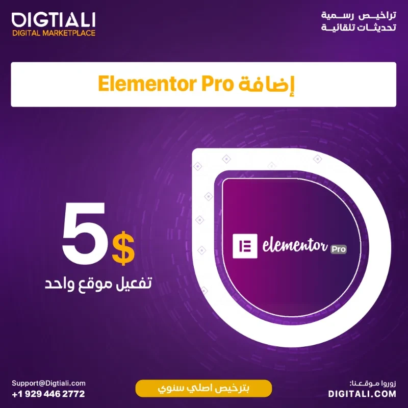 Elementor Pro add-on with an annual original license