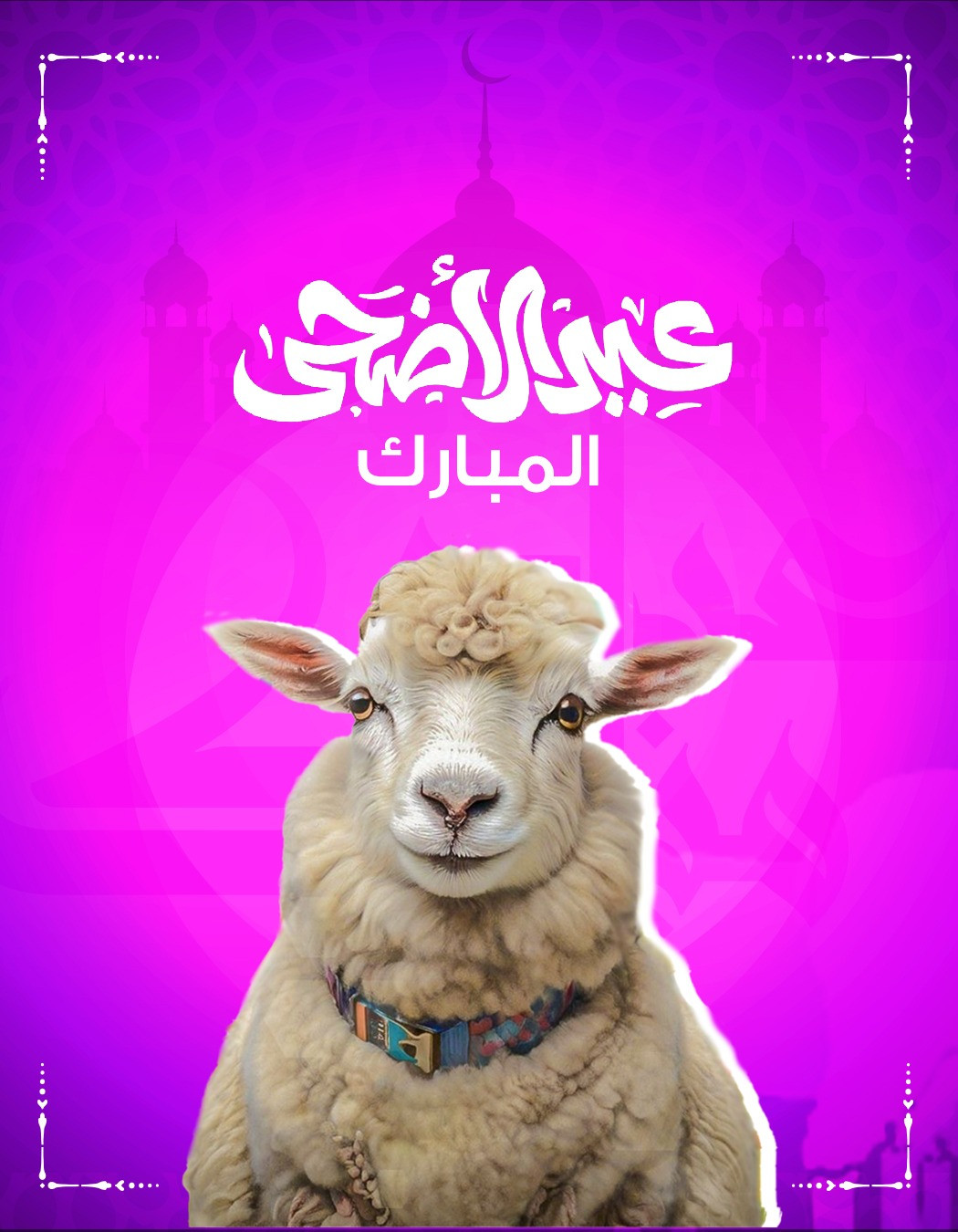 The design of our Eid is sweeter... With our most beautiful sheep