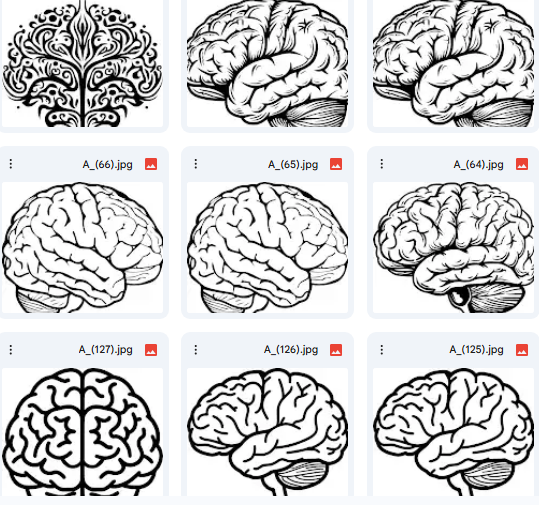 Creative Map: From Anatomical Complexity to Decorative Art – Brain Vector Illustrations (15 Designs)