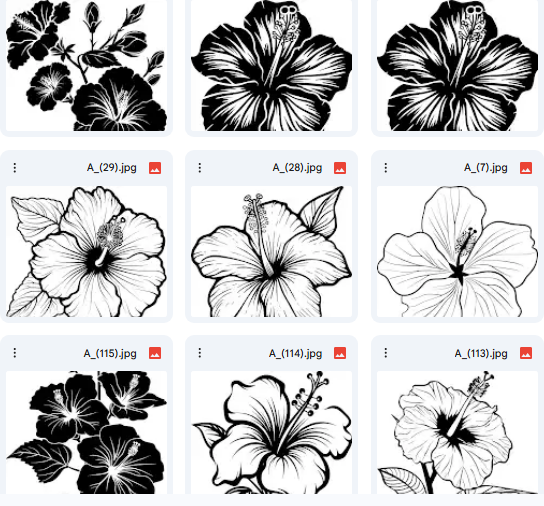 Hibiscus flower drawings: 15 vector illustrations for children to color