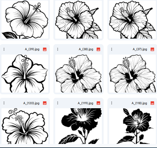 Vector Drawings of Hibiscus Flower 15 Illustrations