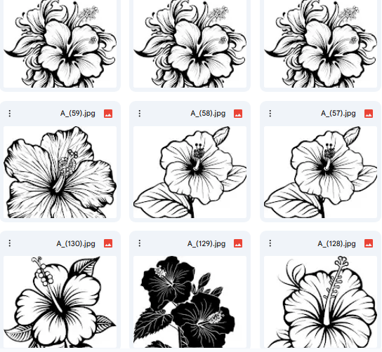 Vector Hibiscus Flower Drawings 15 Artistic Illustrations for Kids