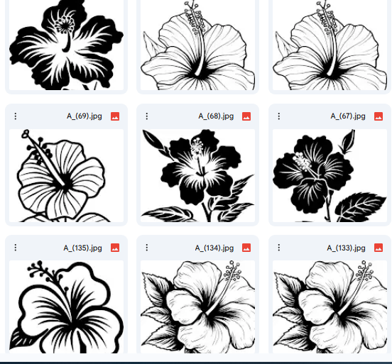 Vibrant Hibiscus Flower Vector Designs 15 Illustrations for Kids
