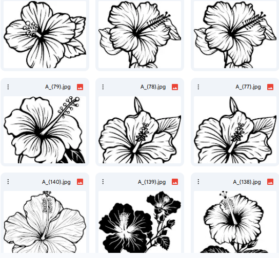 15 Vector Illustrations of Hibiscus Flower
