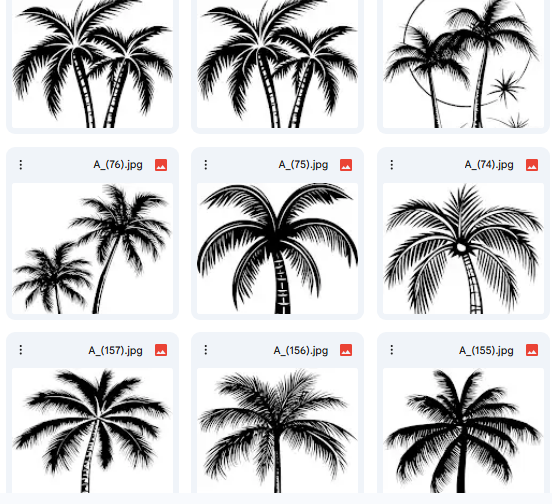 Vector Palm Tree Collection – 15 Illustrations for Creative Coloring
