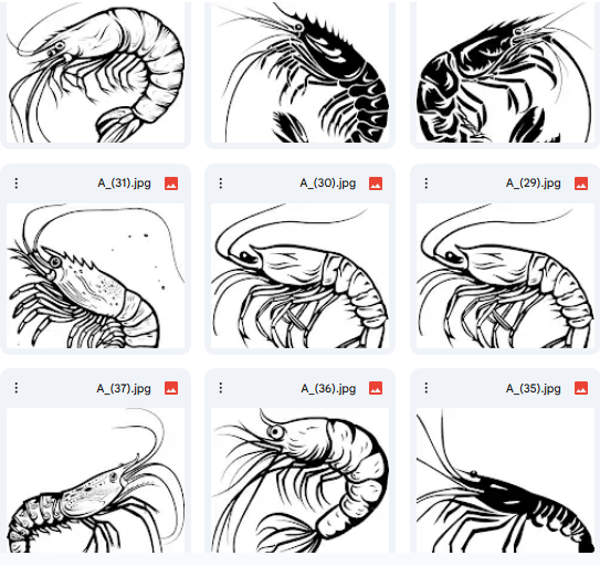 15 Vector Shrimp Illustrations for Creative Coloring
