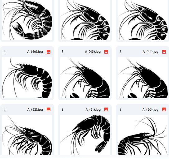 15 Vector Shrimp Designs Ready for Coloring