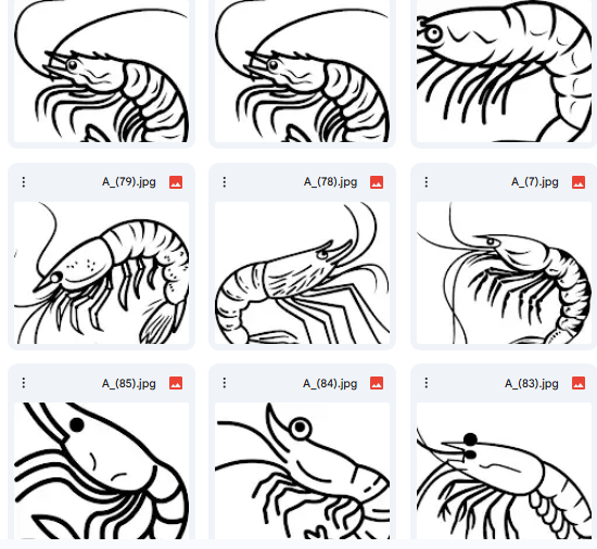 Shrimp Line Art in Vector Style – A Collection of 15 Illustrations