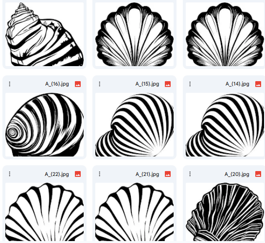Vector Shell or Oyster Illustrations – 20 Designs Ready for Coloring