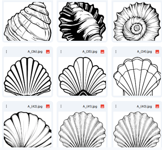 Creative Vector Shell or Oyster Illustrations – 20 Designs for Coloring