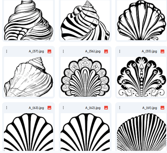 Vector Shell or Oyster Illustrations – A Collection of 20 Coloring-Ready Designs