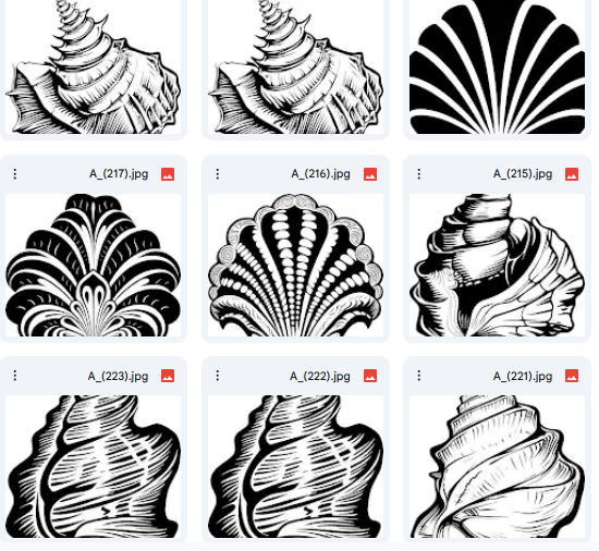 An Artistic Collection Inspired by Shells or Oysters – 20 Vector Illustrations
