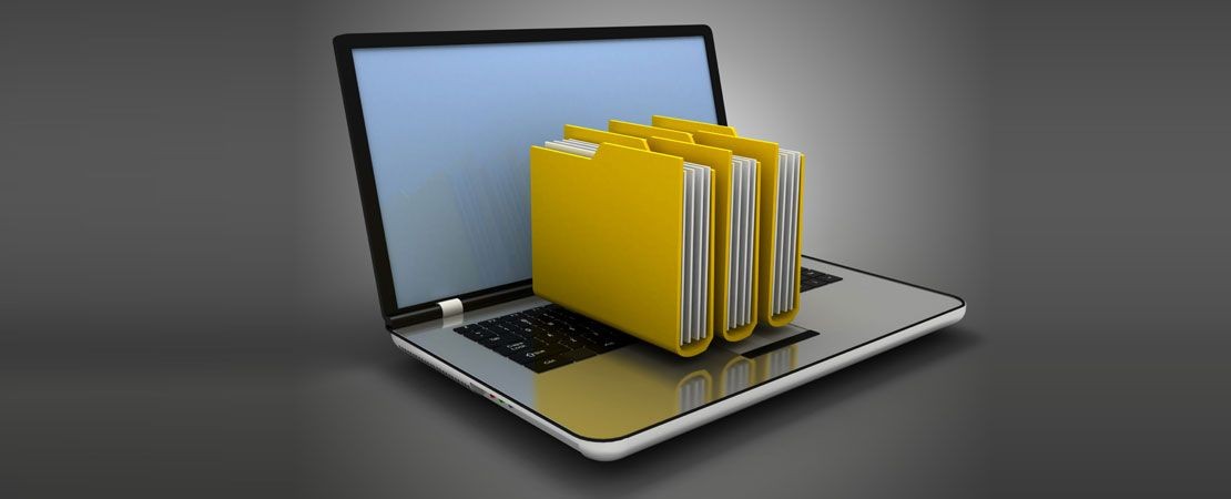 الملفات متعددة الاستخدام: كيف تحقق الكتب واللوحات الجاهزة أعلى قيمة للمستخدمين على ڤيوليت؟